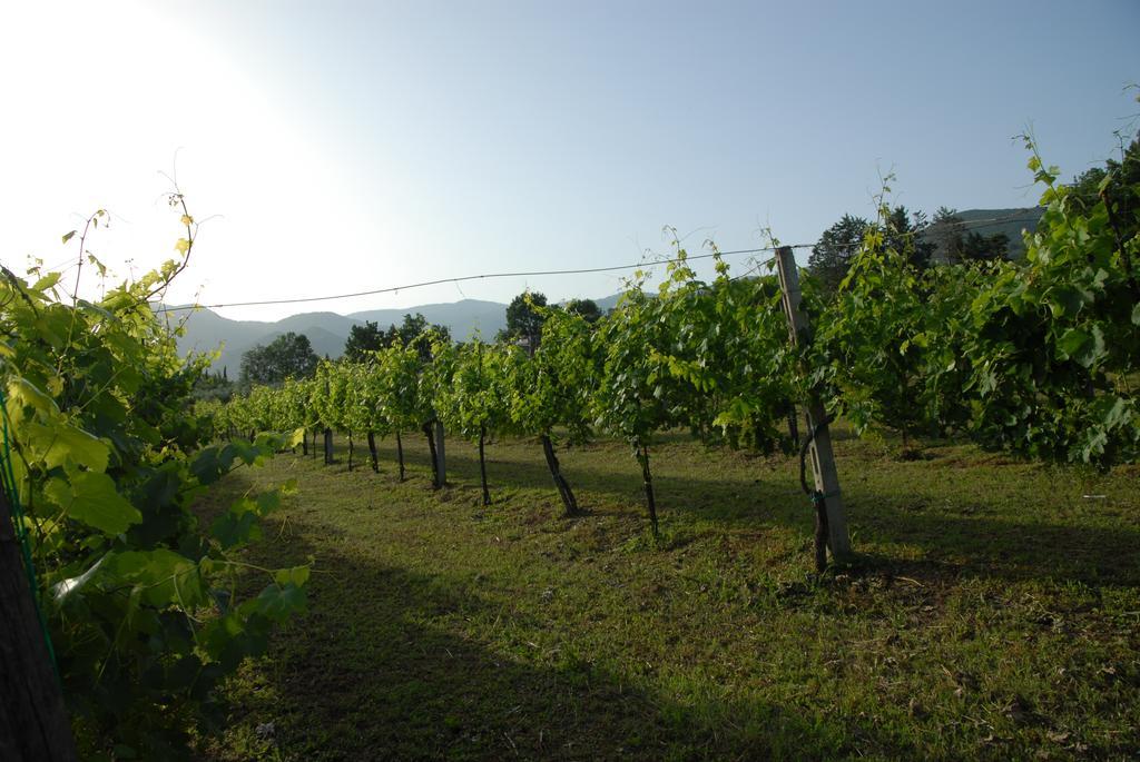 San Potito Sannitico Tenuta Torellone מראה חיצוני תמונה