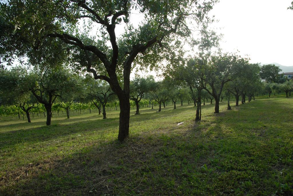 San Potito Sannitico Tenuta Torellone מראה חיצוני תמונה
